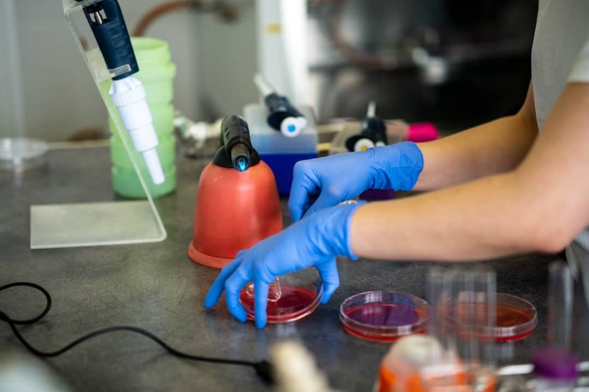 nurse-using-test-tubes-for-the-new-rapidly-spreadi-2023-11-27-05-35-03-utc