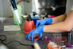 nurse-using-test-tubes-for-the-new-rapidly-spreadi-2023-11-27-05-35-03-utc