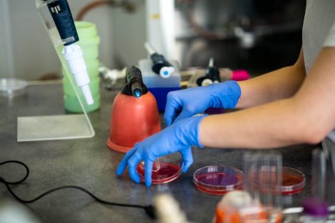 nurse-using-test-tubes-for-the-new-rapidly-spreadi-2023-11-27-05-35-03-utc